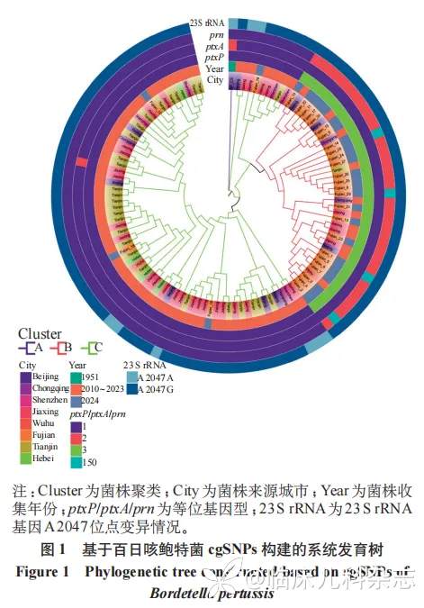 福建省两地区百日咳鲍特菌抗原基因型特征及耐药性分析
