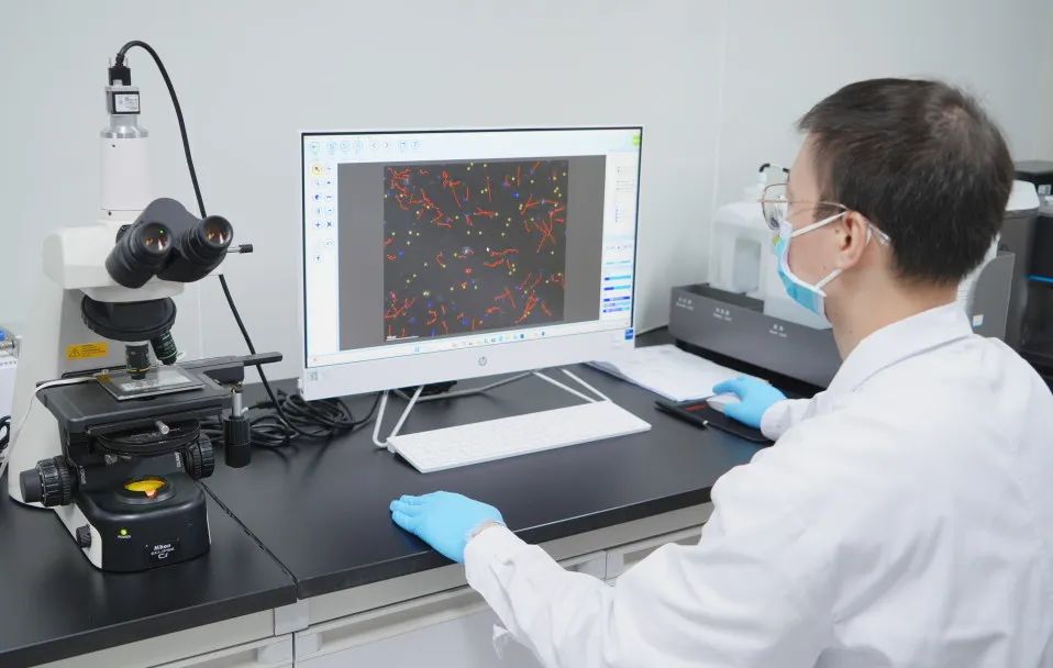 男性生育力新指标：精子 DNA 碎片指数（DFI），你了解吗？