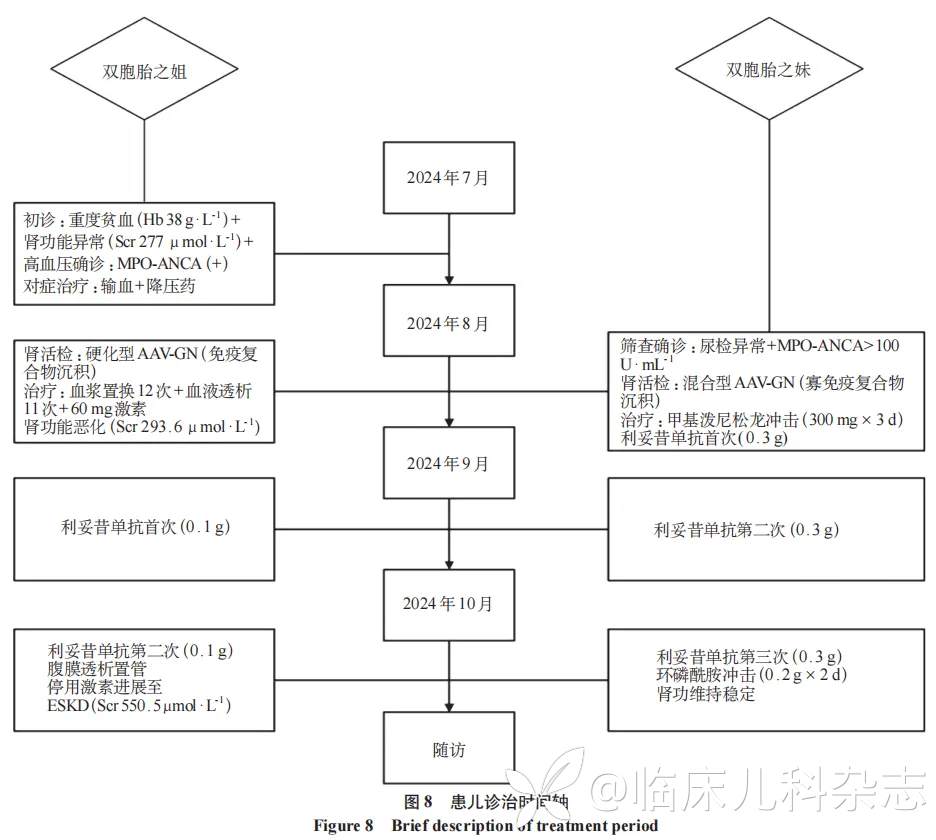 儿童共患 ANCA 相关性血管炎肾损害双胞胎一对报告