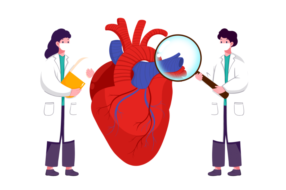 久坐伤身体？一套全面体检，为上班族守住健康防线