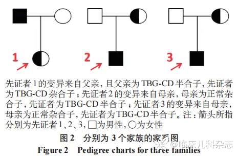 甲状腺结合球蛋白缺乏症 3 个家系报告