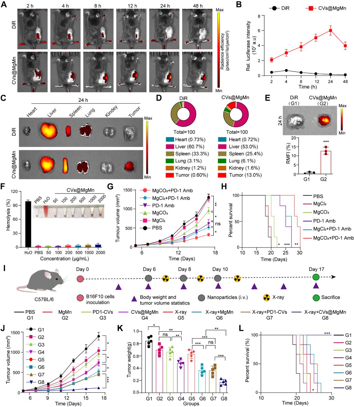 医工交叉新技术可望实现实体肿瘤患者放射免疫治疗协同增效