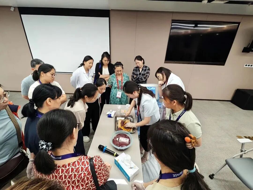 重庆海扶医院专家团队出席 2025 APAGE Annual Congress 聚焦超声 Workshop