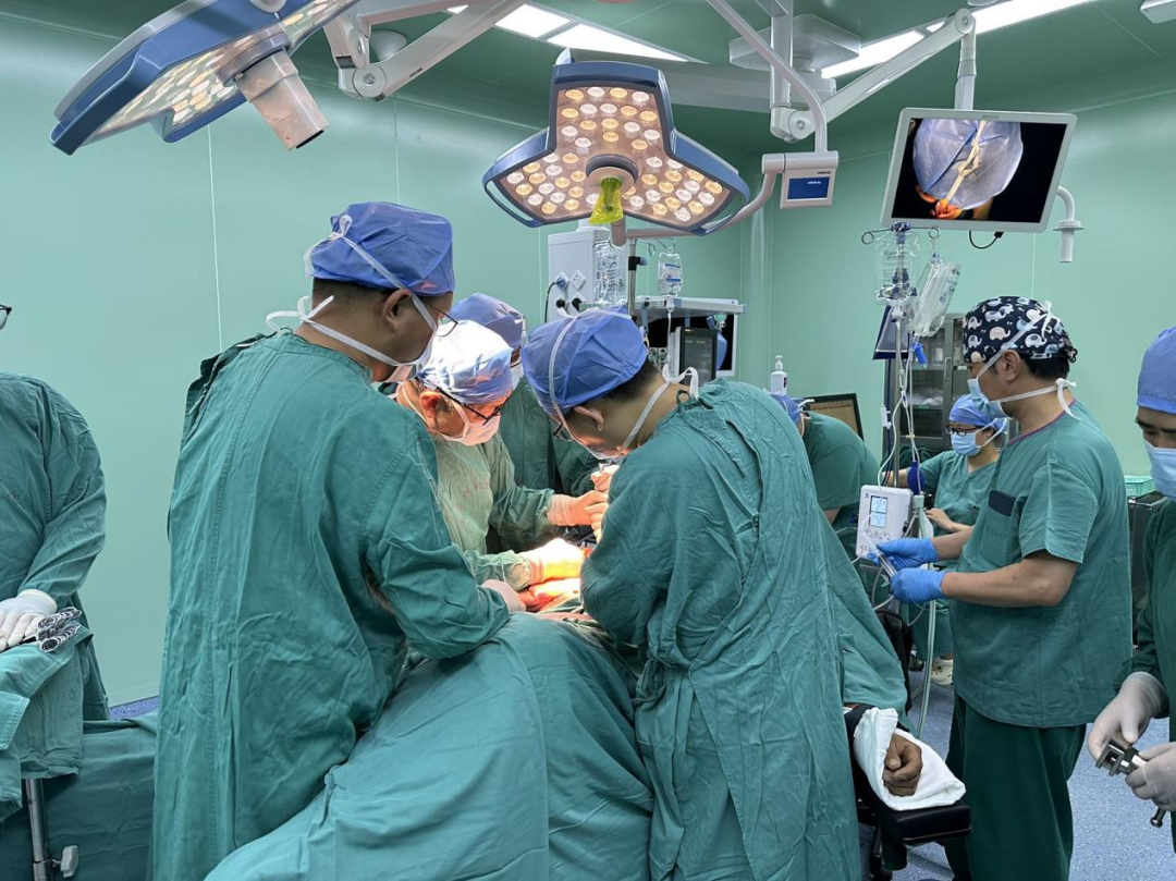 2025 年医师节丨「医」路不辍：暖慰问、践初心、赞真情，共绘江北医院医患同心圆