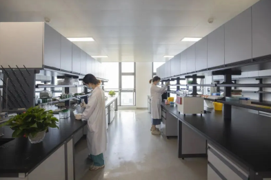 双喜临门！南医大三附院科研迎「大丰收」，国自然、省基项目双线告捷！