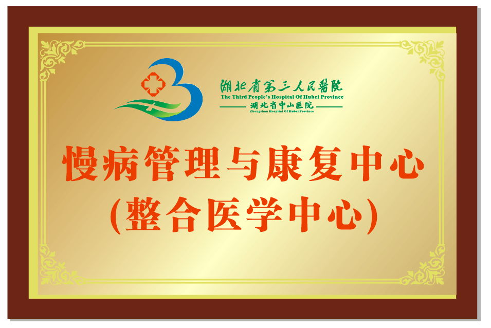 湖北省第三人民医院揭牌成立慢病管理与康复中心(整合医学中心),以「创新+整合」破解慢病管理难题