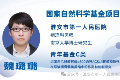 【国自然 • 追光者】2025 国家自然科学基金项目获得者系列报道——魏璐璐