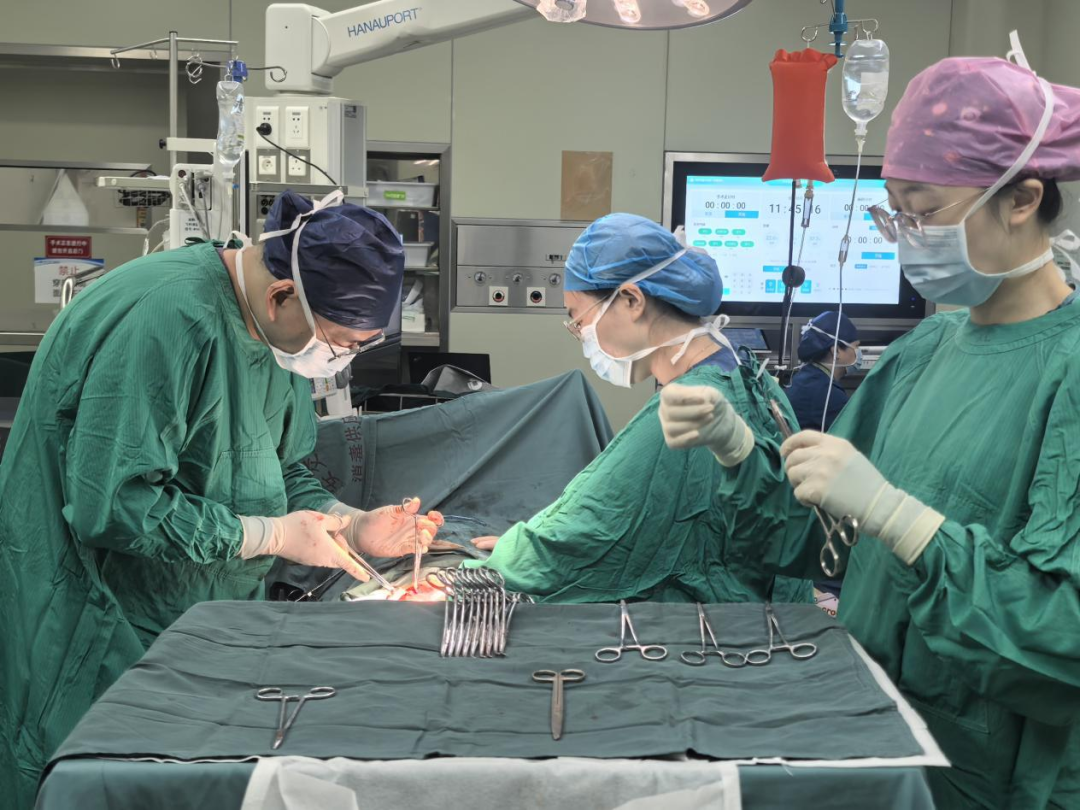 西安交大一附院肾脏移植突破 8000 例，书写生命续航的西部答卷