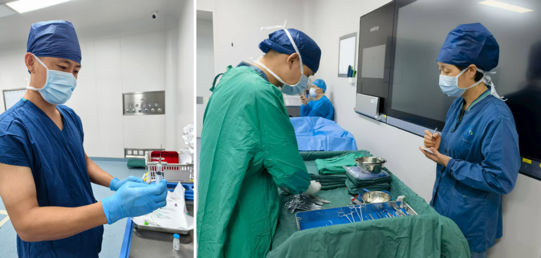 交医精术 | 49 天婴儿患罕见骶尾部畸胎瘤,陆港院区小儿外科与麻醉手术部协同攻坚守护新生