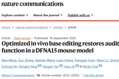 Nature Communications | 柴人杰教授团队与合作者利用碱基编辑技术恢复 DFNA15 耳聋小鼠听力功能