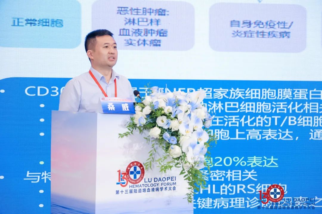 链接中外,赋能临床:第十三届陆道培血液病学术大会圆满闭幕
