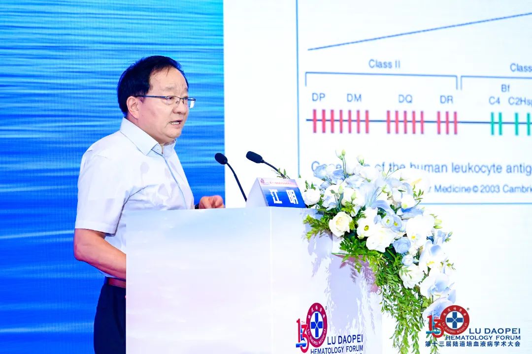 链接中外,赋能临床:第十三届陆道培血液病学术大会圆满闭幕