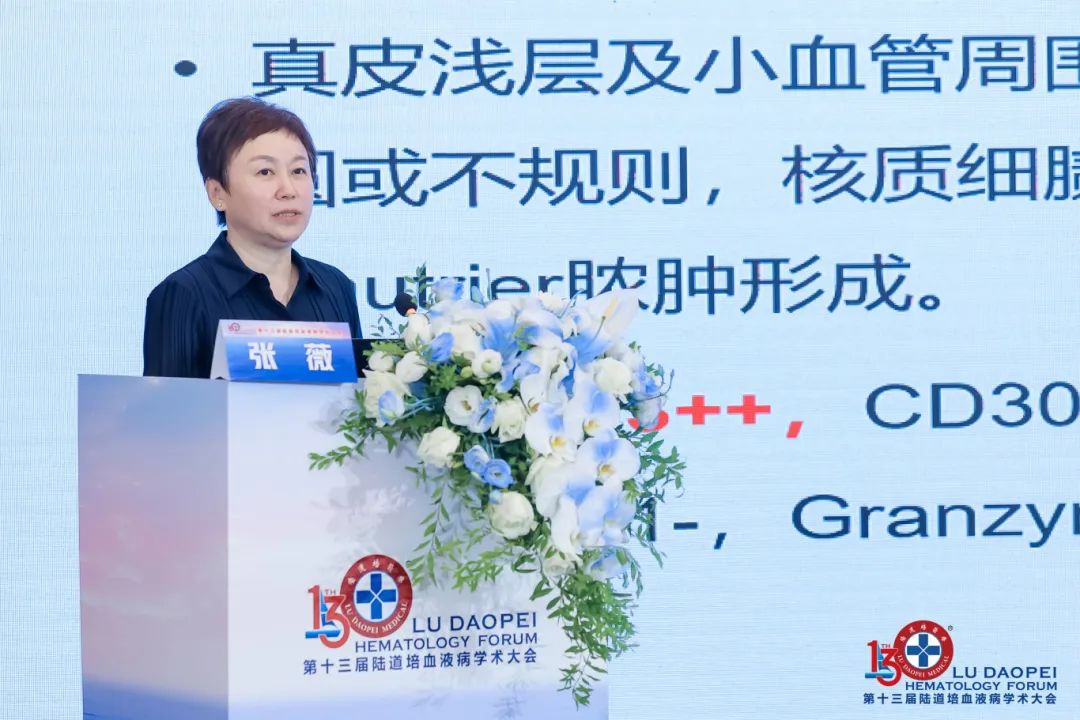 链接中外,赋能临床:第十三届陆道培血液病学术大会圆满闭幕