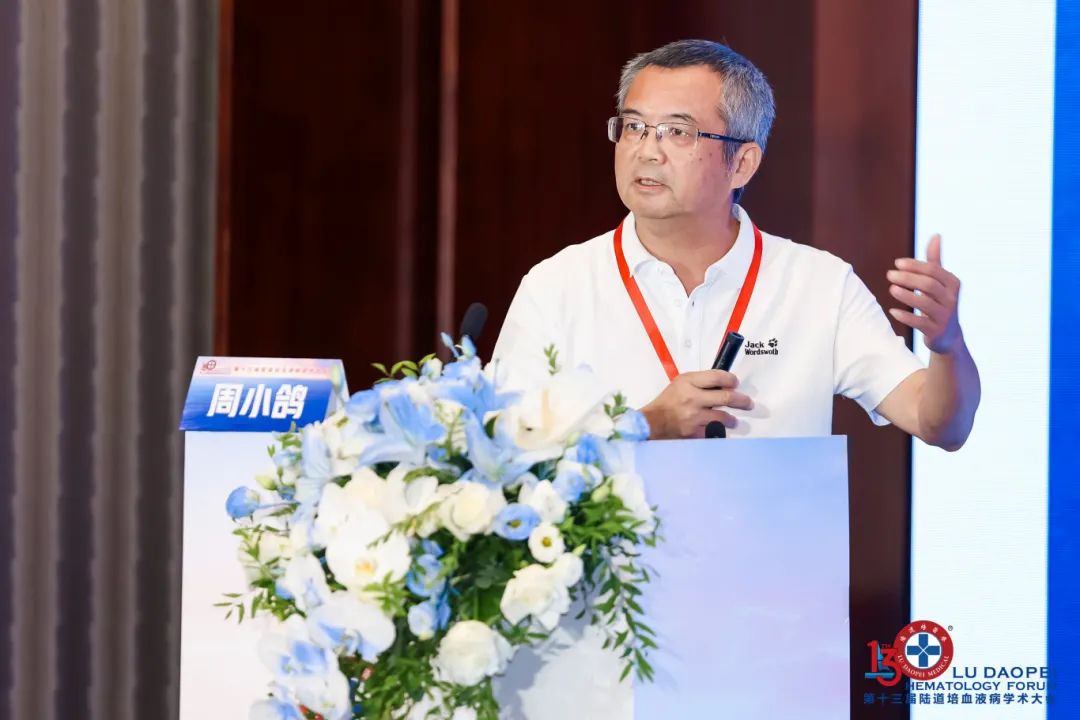 链接中外,赋能临床:第十三届陆道培血液病学术大会圆满闭幕