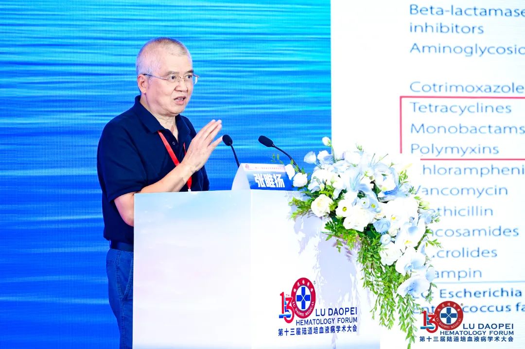 链接中外,赋能临床:第十三届陆道培血液病学术大会圆满闭幕