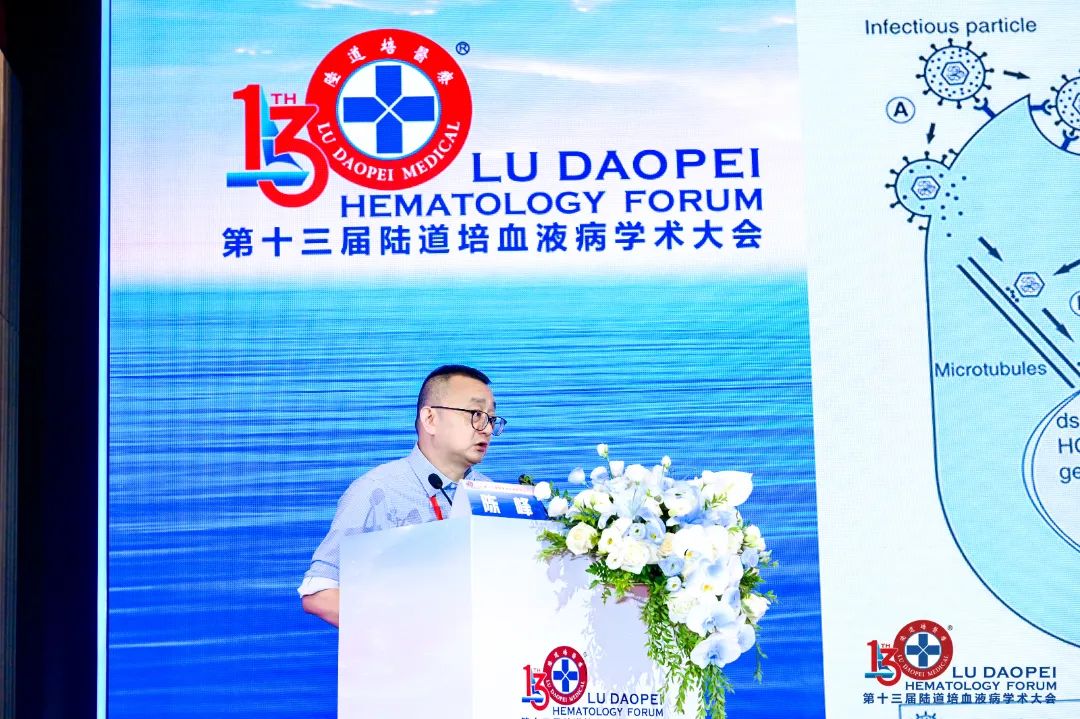 链接中外,赋能临床:第十三届陆道培血液病学术大会圆满闭幕