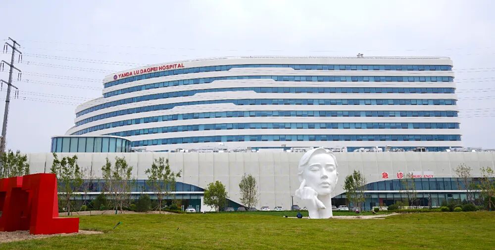 00 后大学生献上「生命厚礼」，道培护航高校教师迎来百日新生！