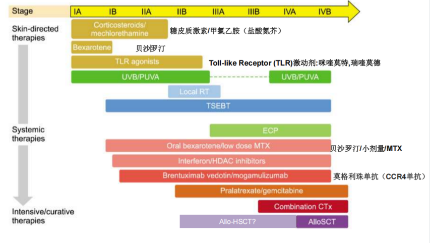 曹星玉主任:聚焦蕈样肉芽肿与 Sézary 综合征的临床管理与移植策略