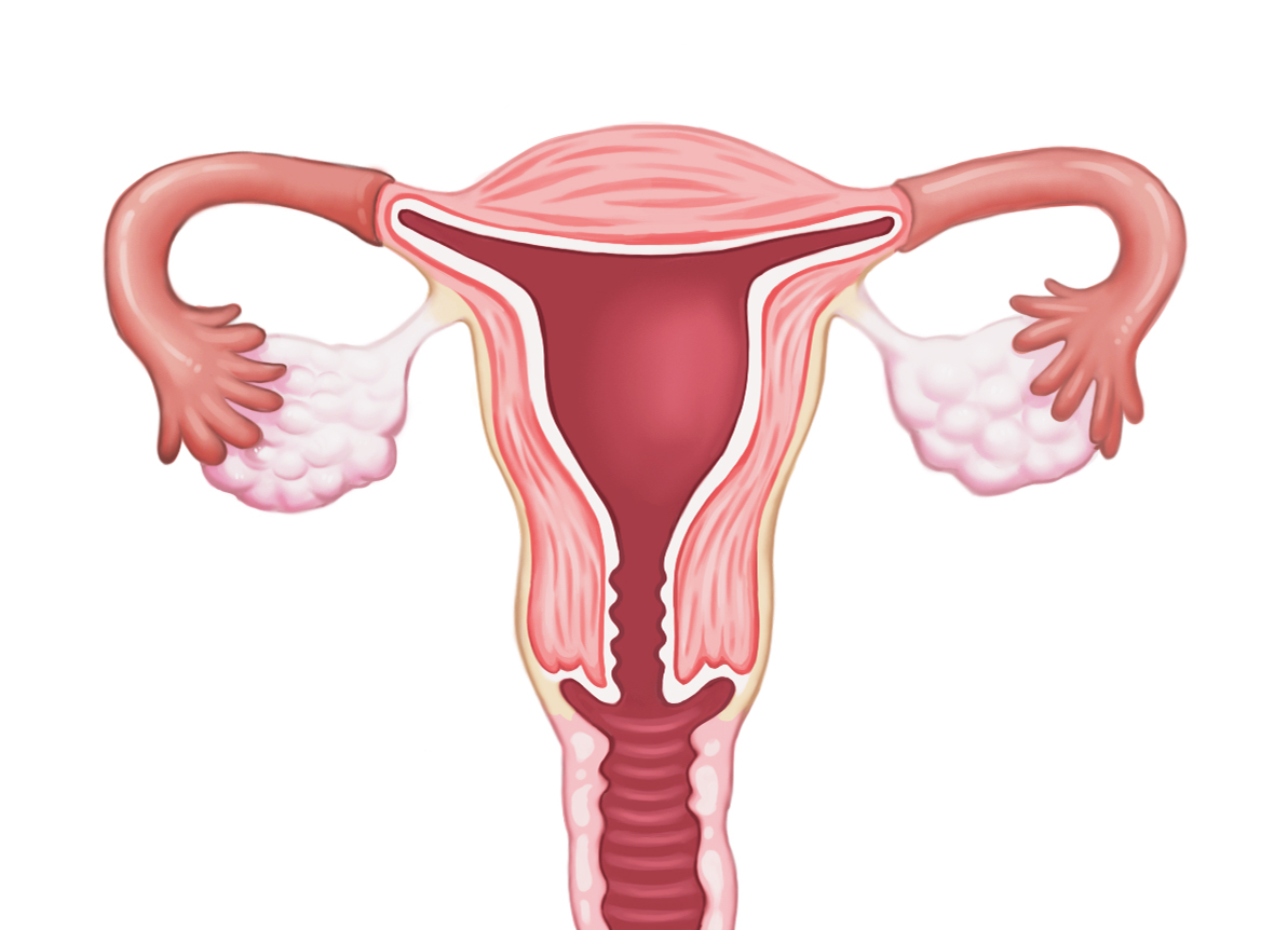 子宫切除：身体、心理与生活的影响