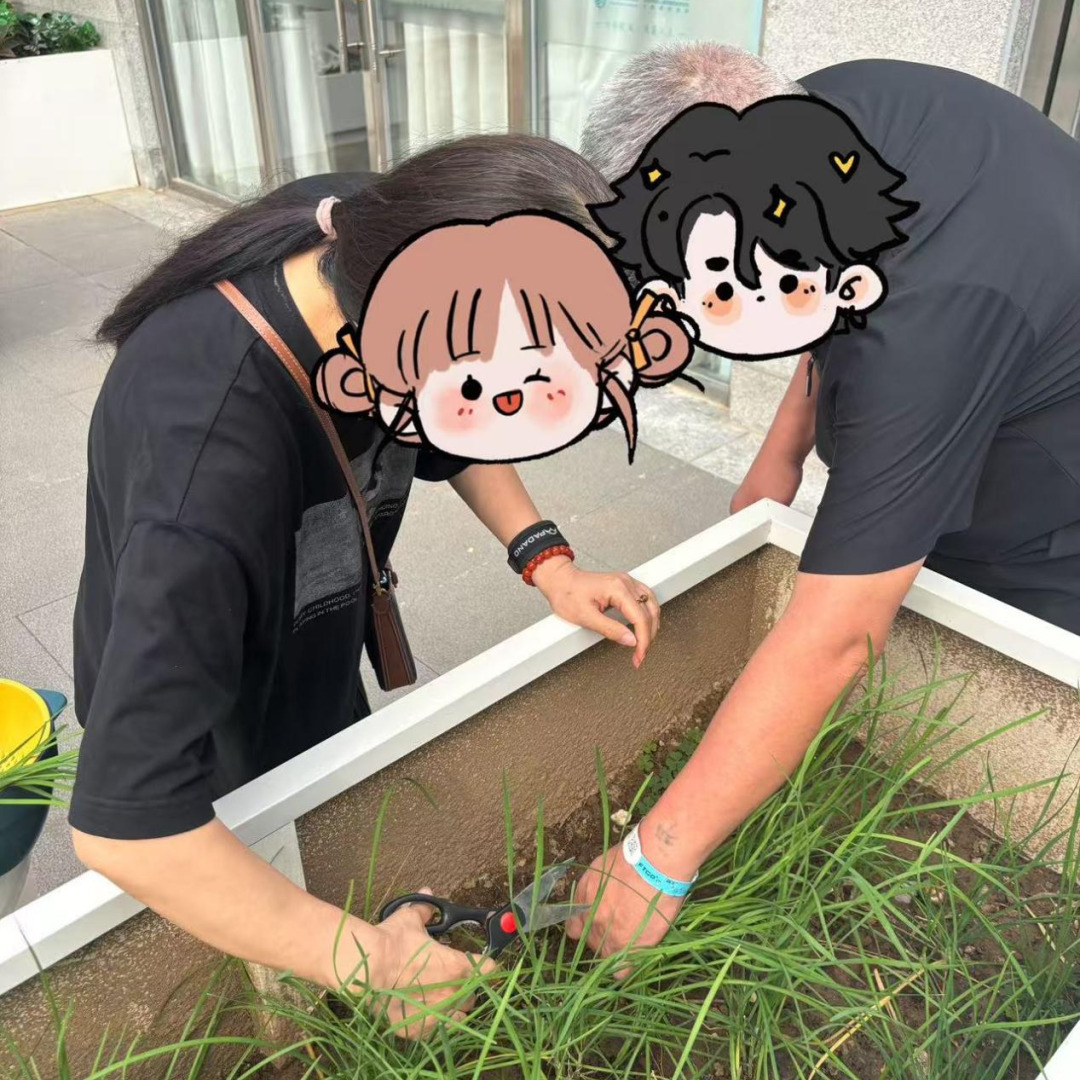 欢送会一顿寓意深刻的「上车饺子」