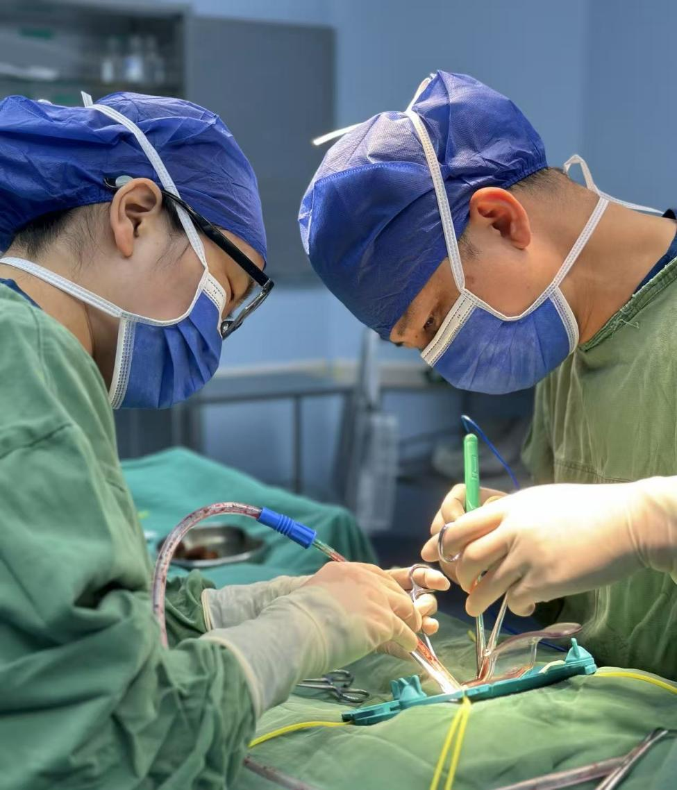 排便困难？别再把直肠前突误当成痔疮了！解决「兜粪口袋」，微创来战