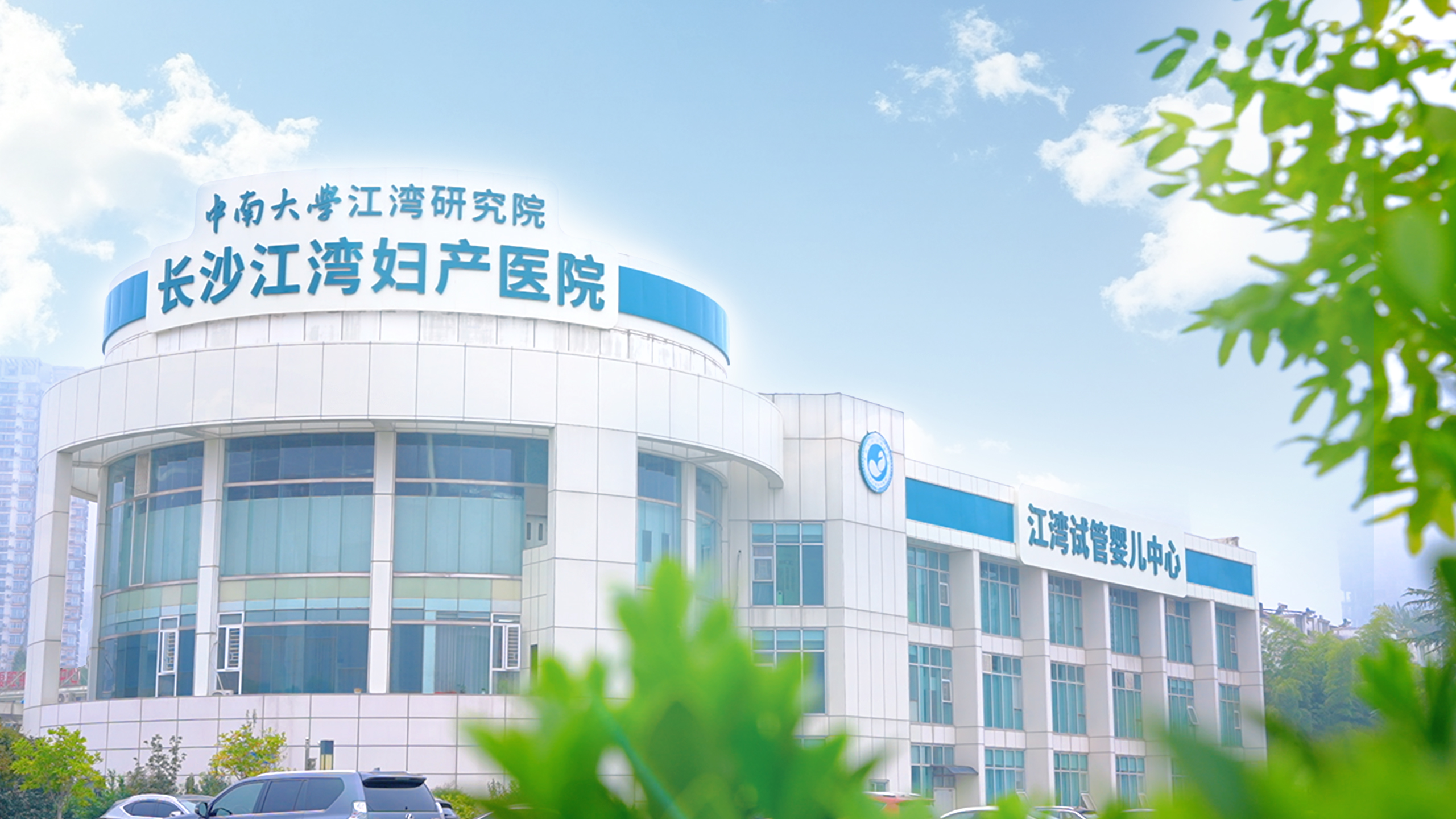 促排针扎破的不仅是肚皮!卵泡数量≠质量的真相