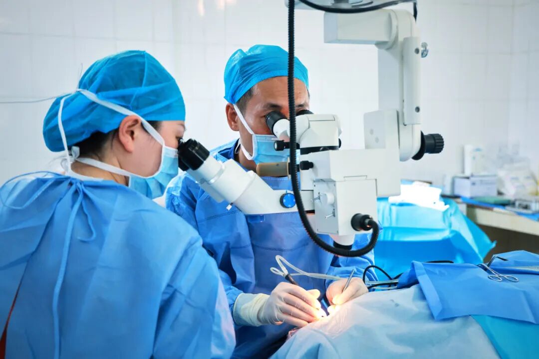 助力新时代「健康丝路」！华厦眼科帮助 146 名乌兹别克斯坦患者重见光明