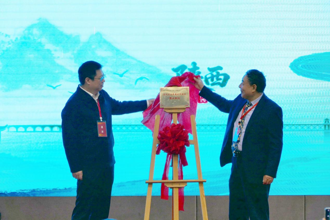 打造区域协同发展新模式,开启疼痛诊疗新篇章——陕西省慢性疼痛专科联盟正式成立