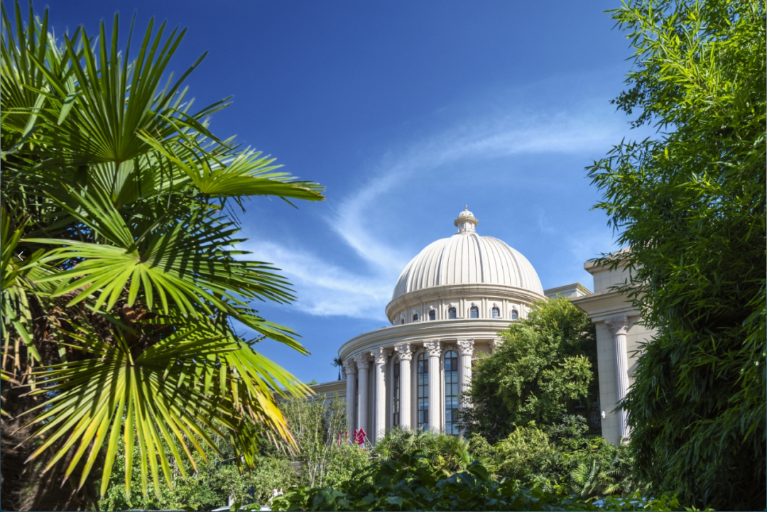 艺术与医学的融合:重塑医学的温度与高度