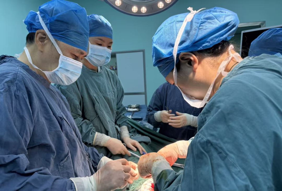 警惕「沉默杀手」！七旬老太腹痛便秘竟是卵巢癌晚期，专家提醒：重视早期信号是关键