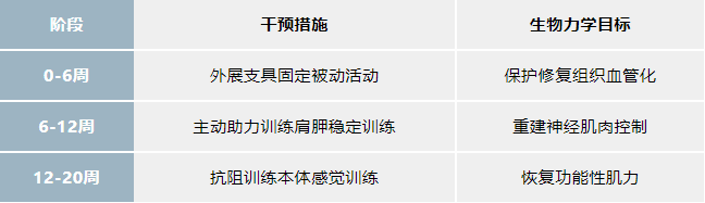 肩袖翻修手术联合 PRP 治疗助力复杂再撕裂体力劳动者重建肩关节功能