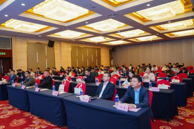 蚌埠健嘉康复医院承办的 2025 蚌埠市康复医学会综合学术年会圆满落幕