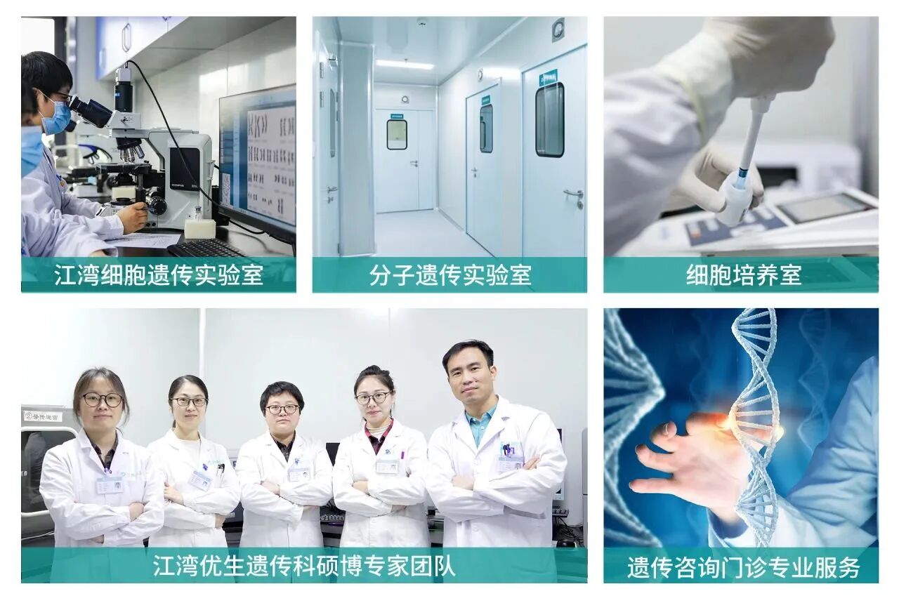 江湾遗传双星闪耀，科普实力获认可