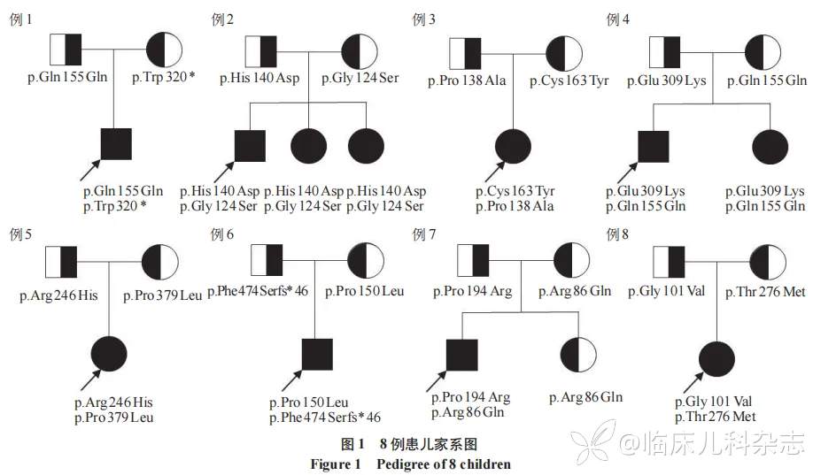 8 例儿童异染性脑白质营养不良临床表型、遗传学分析及异基因造血干细胞移植疗效观察