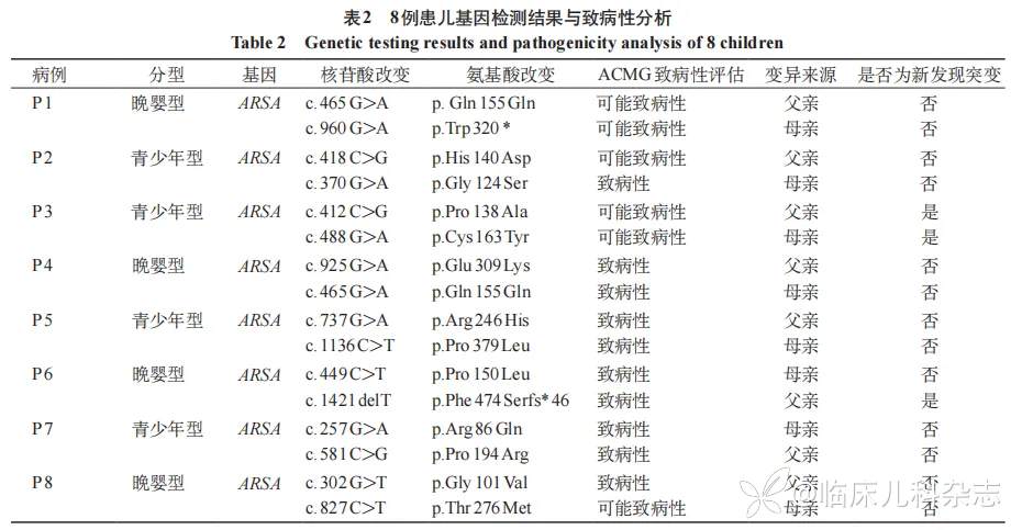 8 例儿童异染性脑白质营养不良临床表型、遗传学分析及异基因造血干细胞移植疗效观察