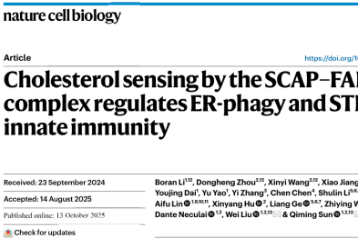 科研速递 | 胆固醇如何同时指挥细胞清洁与免疫防御？Nature Cell Biology 发表最新成果