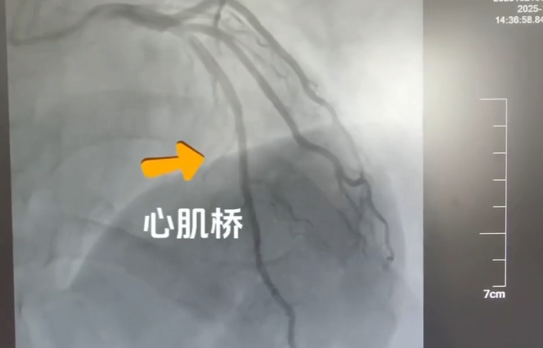 专业护航防治路，守护生命伴同行