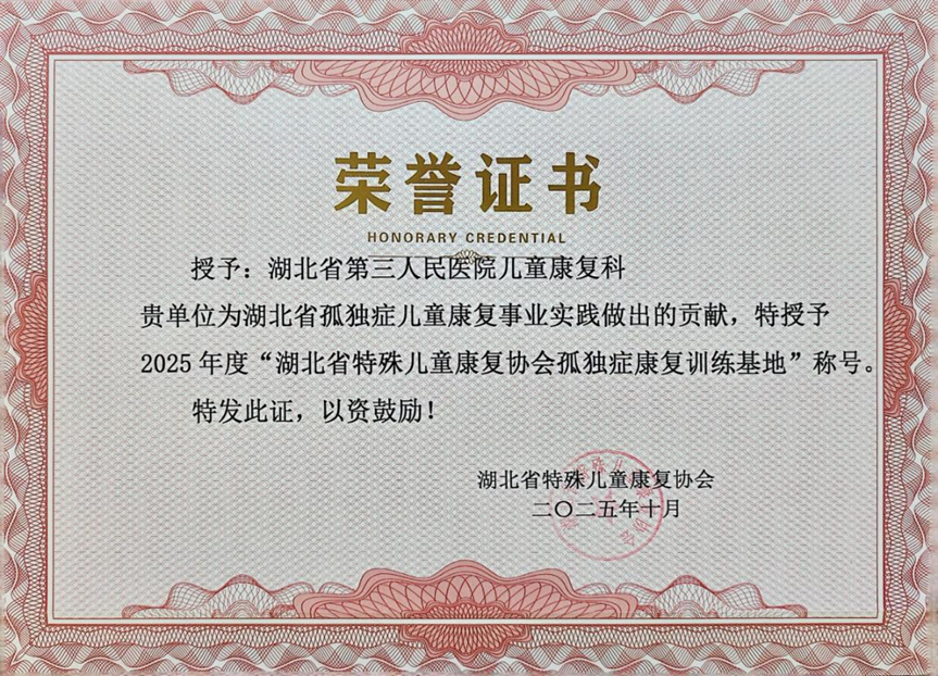 三喜临门!湖北省第三人民医院儿童康复科荣获三项省级殊荣