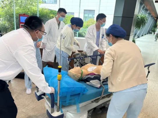 德达多策并举筑防线,全力护航第八届进博会