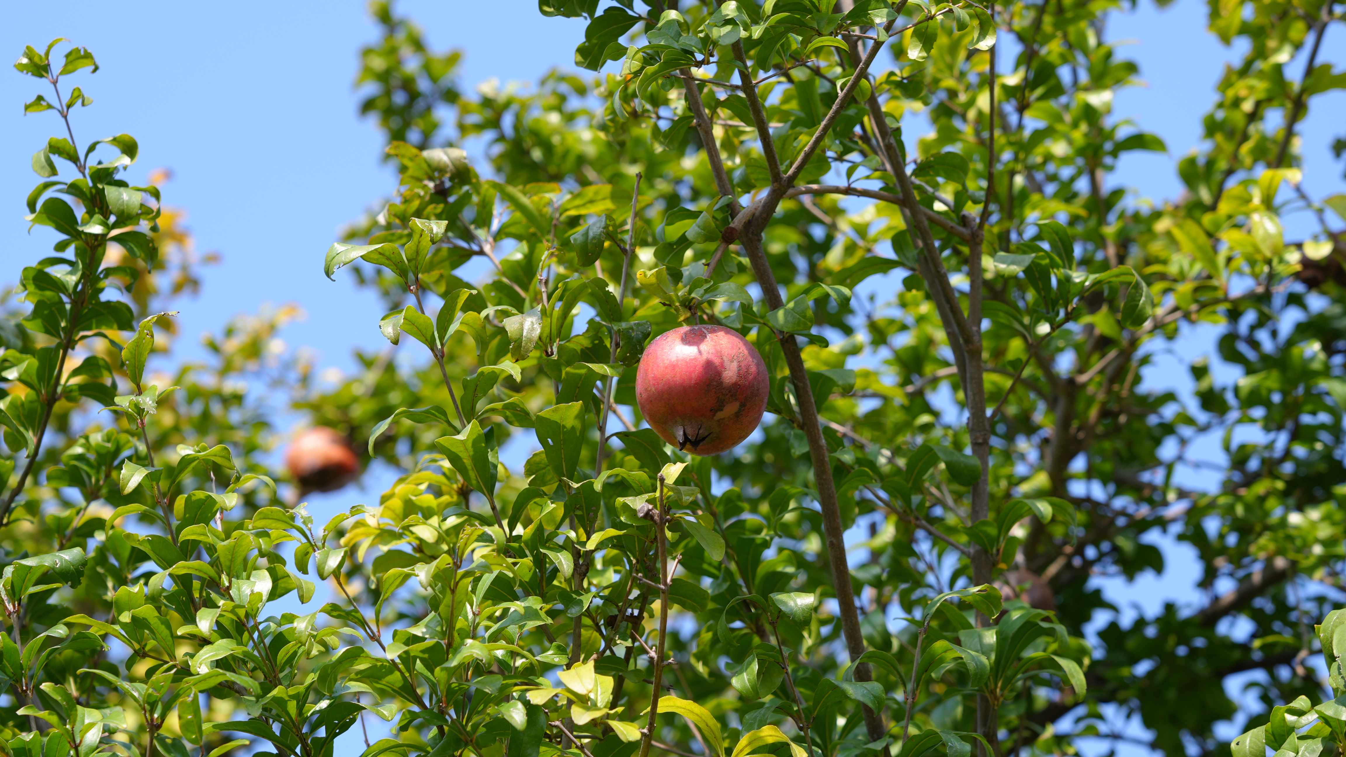 6330321408233988891.jpg?file=744286214