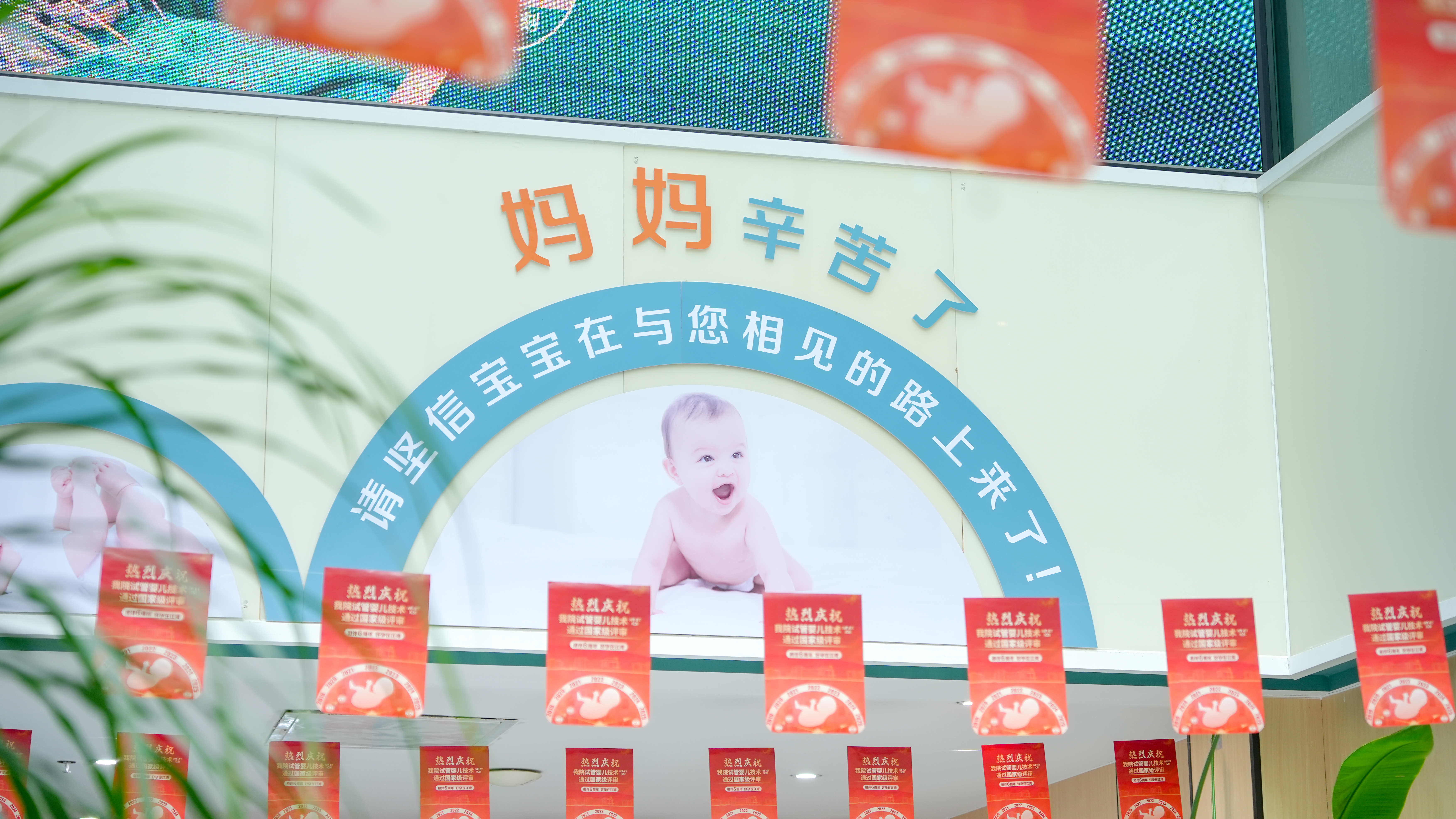 0420378951403988891.jpg?file=744285703