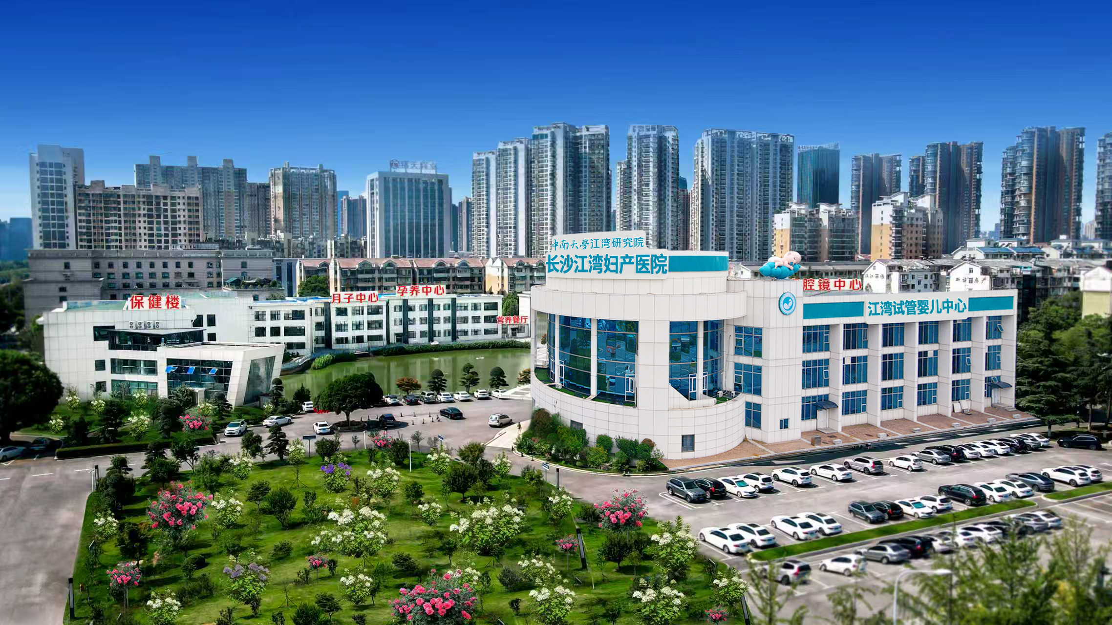 8003237184782988891.jpg?file=744285295