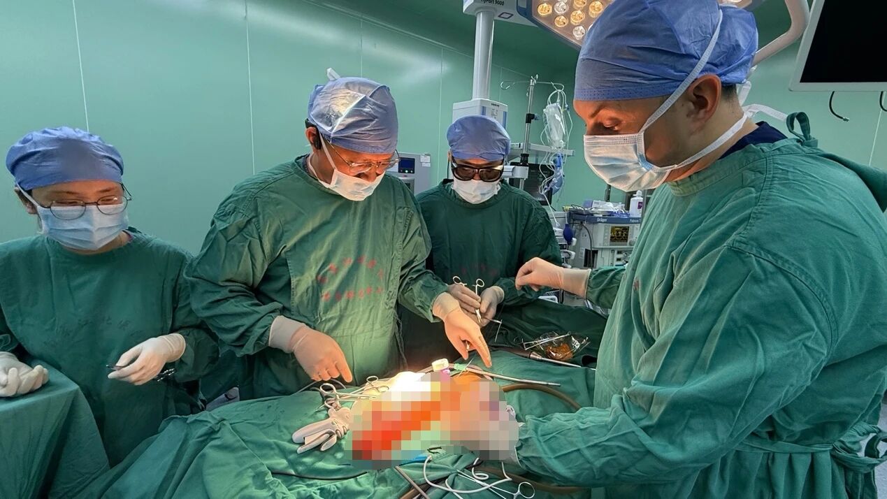 真诚、友好、开放、交流｜波黑外科专家 Milan Todorovic 在南京江北医院开展参访进修之旅