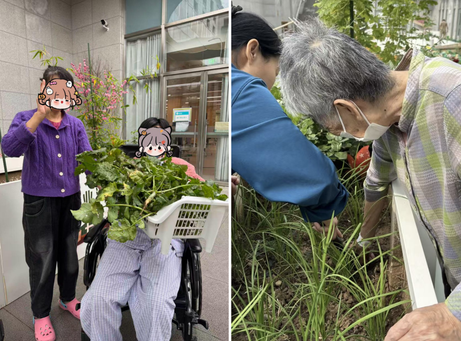 作业治疗活动之——腌制人生,整合康复