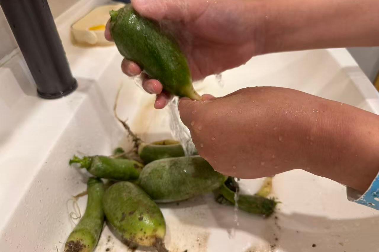 作业治疗活动之——腌制人生,整合康复