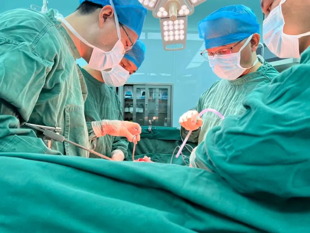 误把肿瘤当发福？漳州阿姨肚子鼓得不对称，一查竟是西瓜大的腹膜后肿瘤