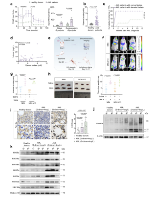 南昌大学二附院王小中教授团队创新成果在国际期刊发表
