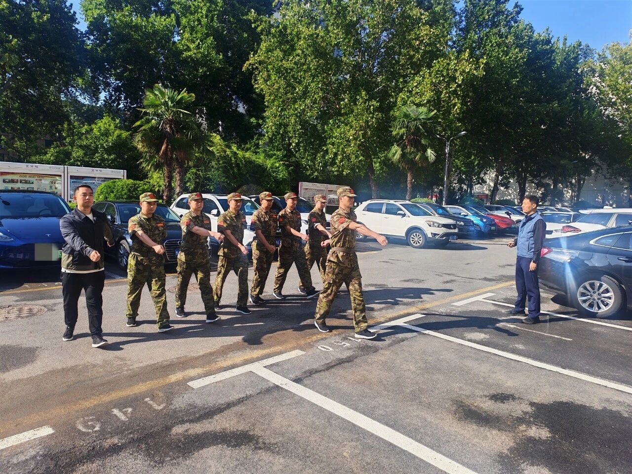 8672135032854783991.jpg?file=750838802