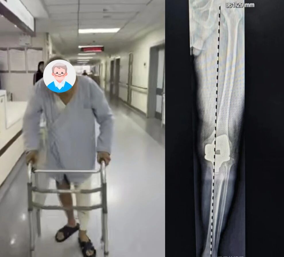 8231504353609045991.jpg?file=752654156