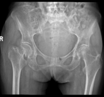 8488784885235145991.png?file=752667773